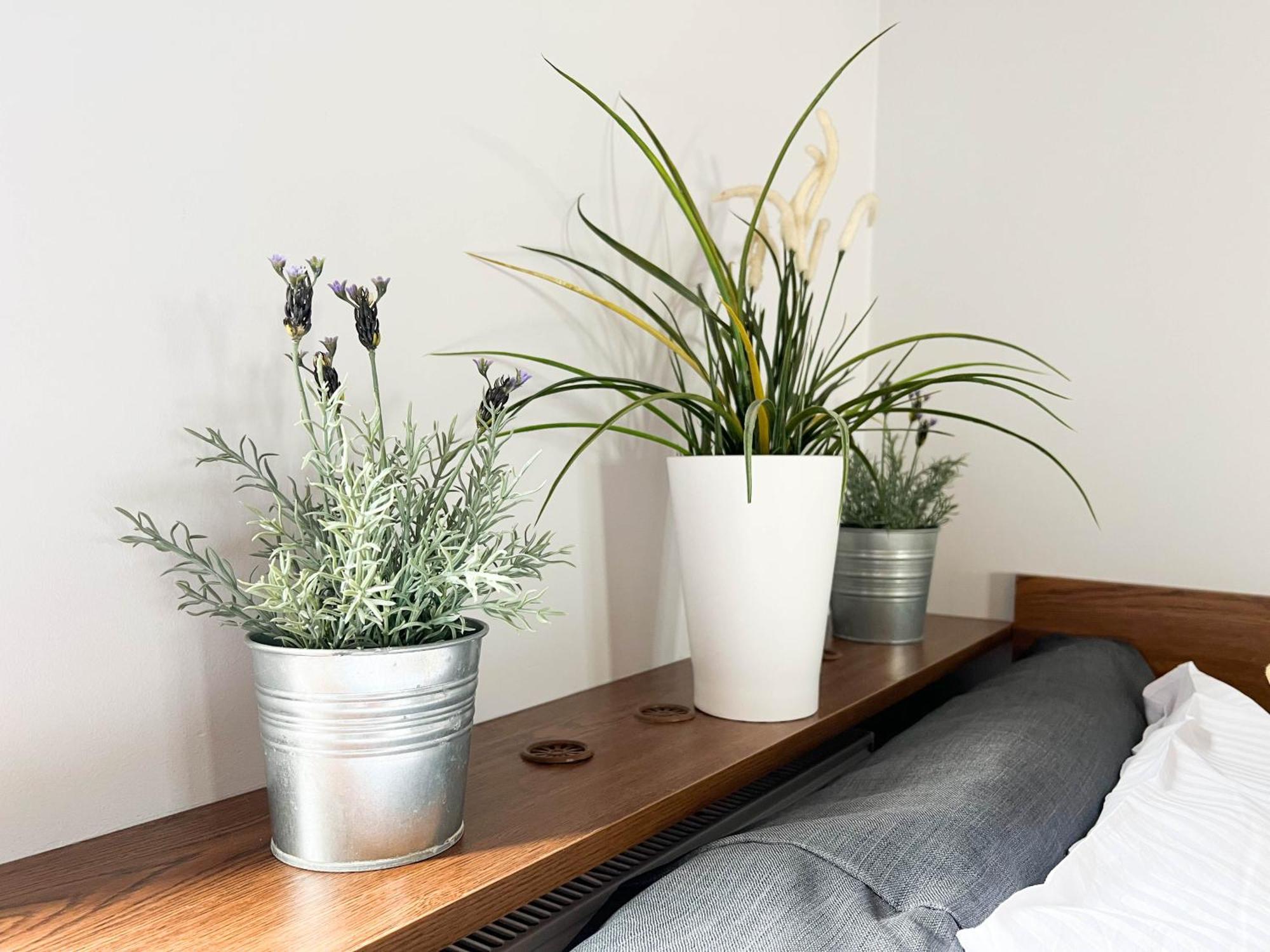3D Szlak 77 Apartament كراكوفيا المظهر الخارجي الصورة